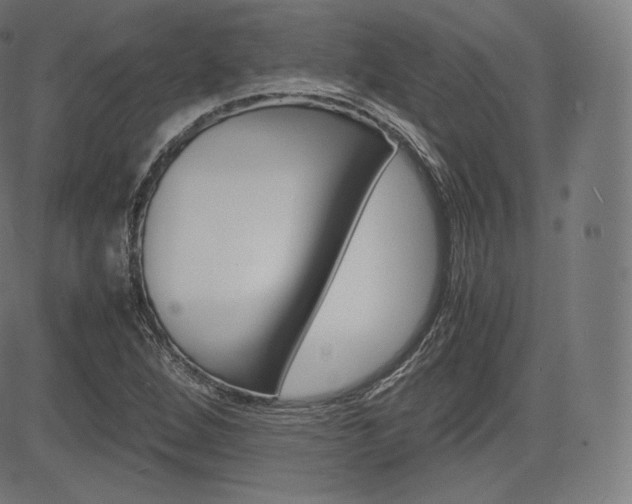 X0000085291264200703091045