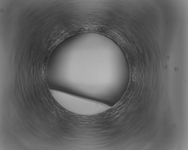 X0000085291298200703091044