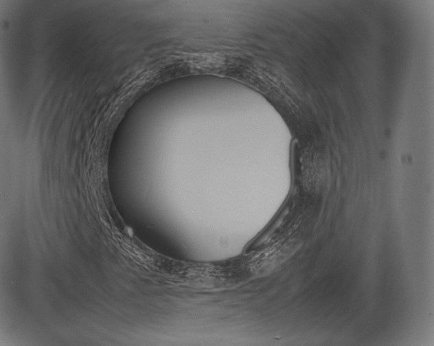 X0000085291345200703091044