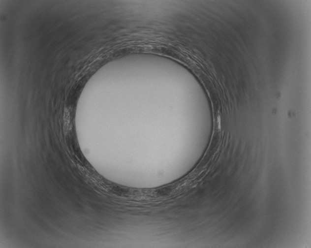 X0000085291347200703091043