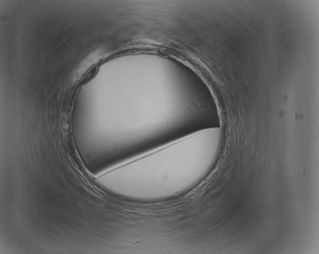 X0000085291355200703091043