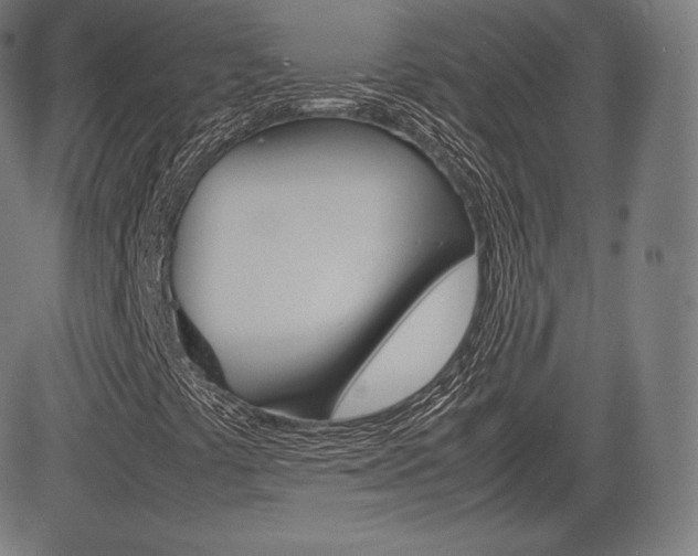 X0000085291441200703091042