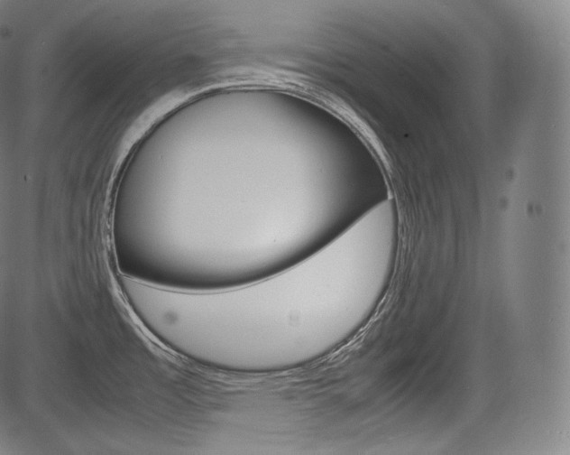 X0000085291485200703091041