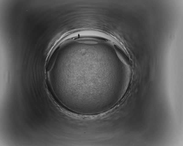 X0000085290002200703091420