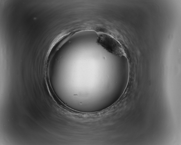 X0000085290003200703091420