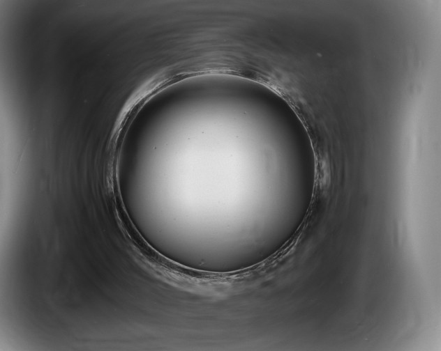 X0000085290004200703091420