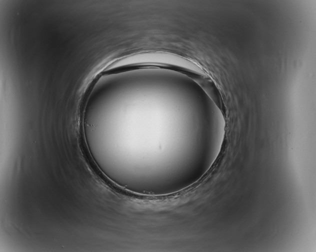 X0000085290005200703091420