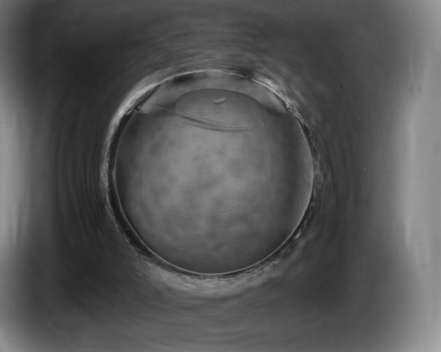 X0000085290006200703091420