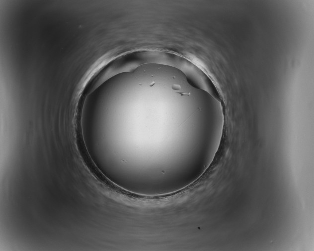 X0000085290007200703091420