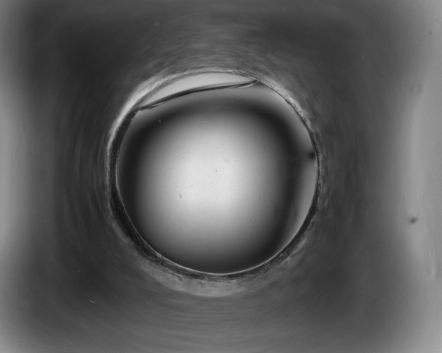 X0000085290008200703091420