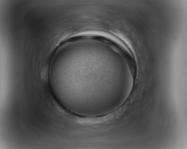 X0000085290009200703091420