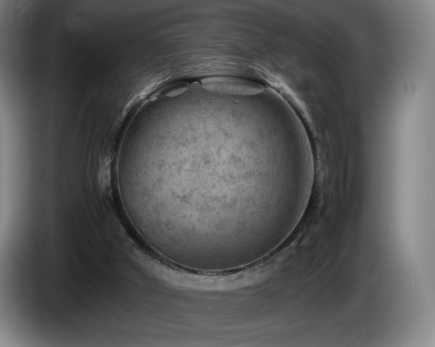 X0000085290010200703091420