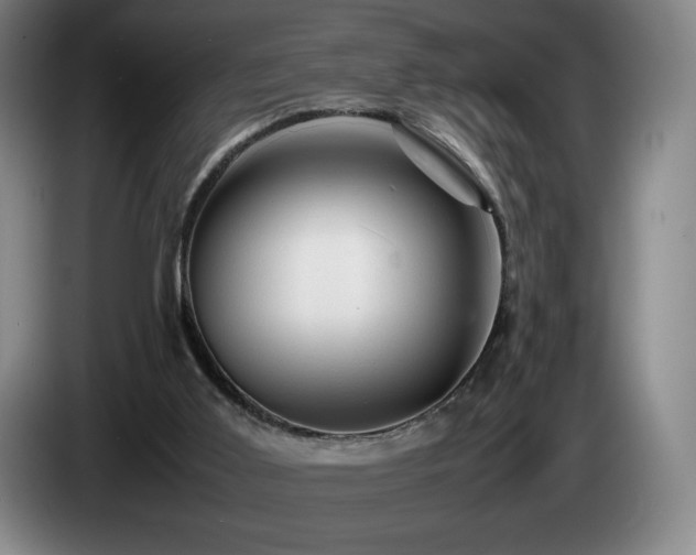 X0000085290011200703091420