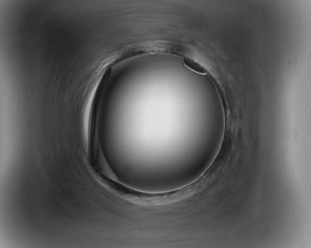 X0000085290013200703091420