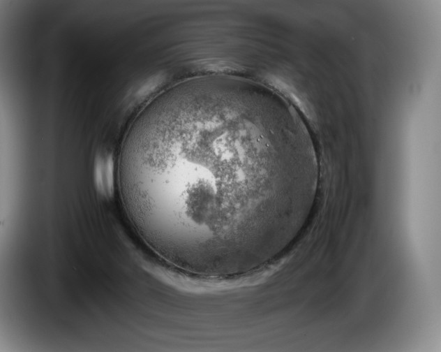 X0000085290014200703091419