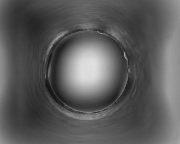 X0000085290015200703091419