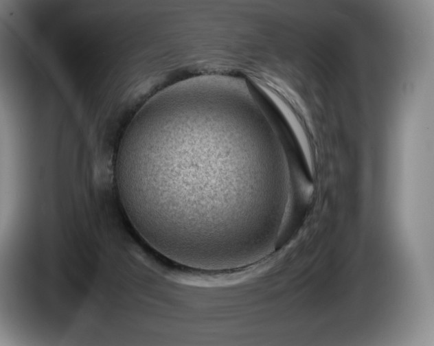 X0000085290017200703091419