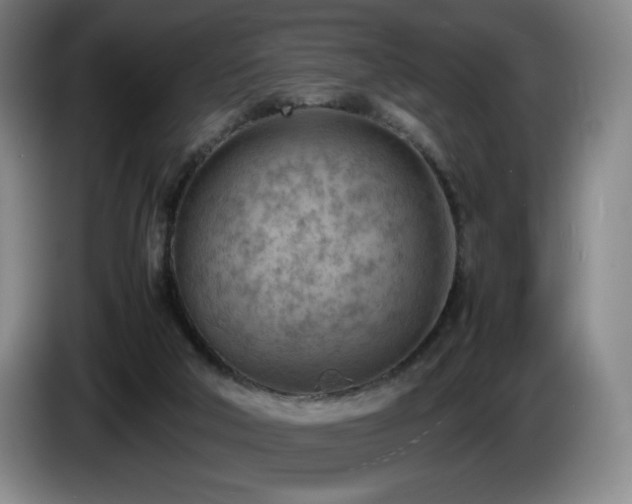 X0000085290018200703091419