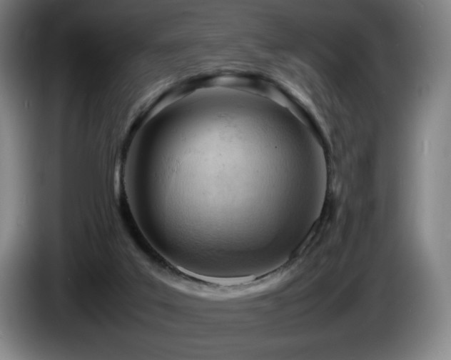 X0000085290019200703091419