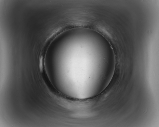 X0000085290020200703091419