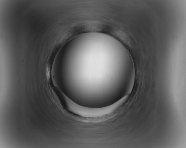 X0000085290021200703091419