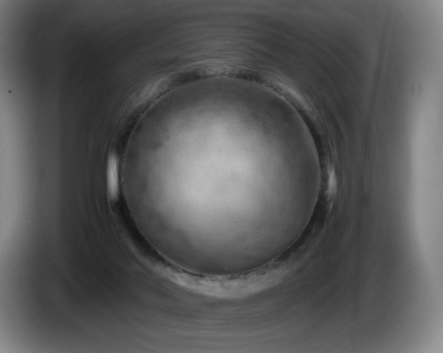 X0000085290022200703091419