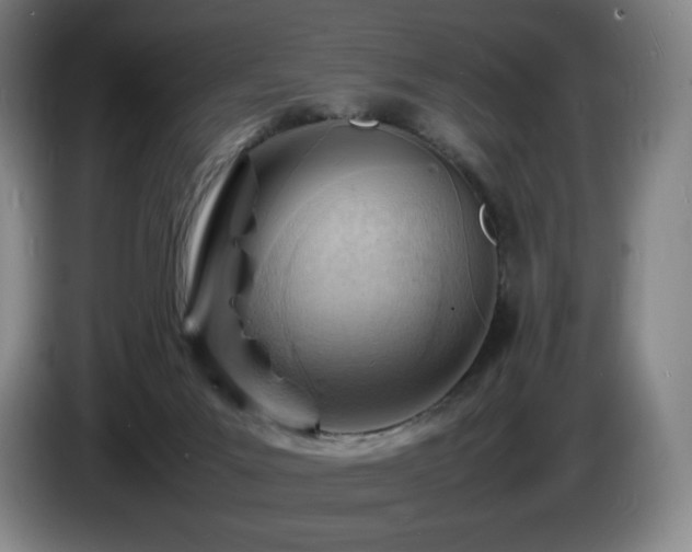 X0000085290023200703091419