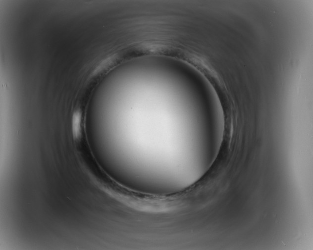 X0000085290024200703091419