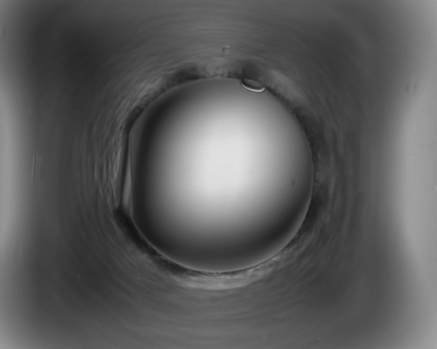 X0000085290025200703091419