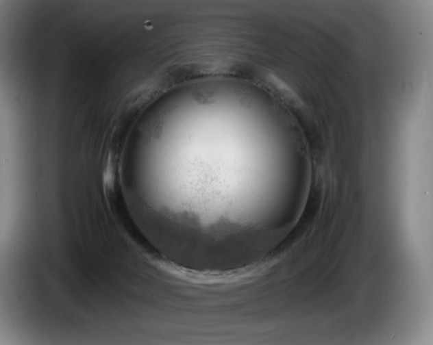 X0000085290026200703091419