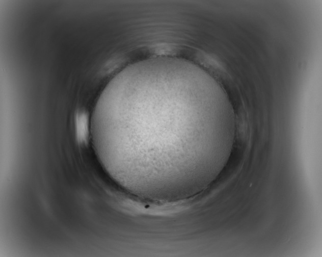 X0000085290028200703091419