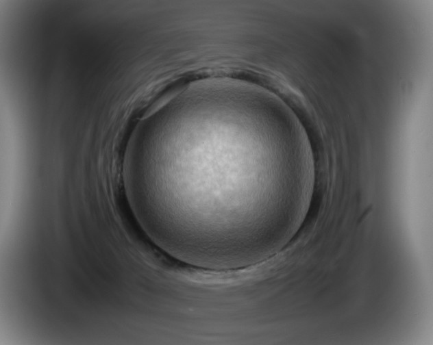 X0000085290029200703091419