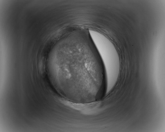 X0000085290030200703091419