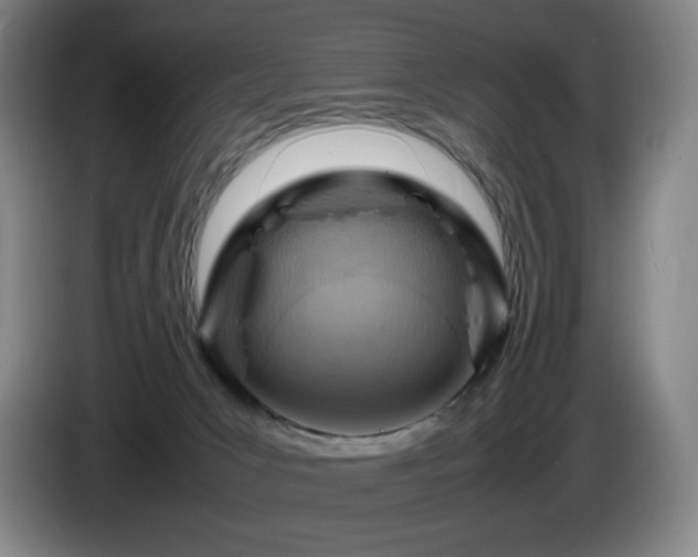 X0000085290031200703091419