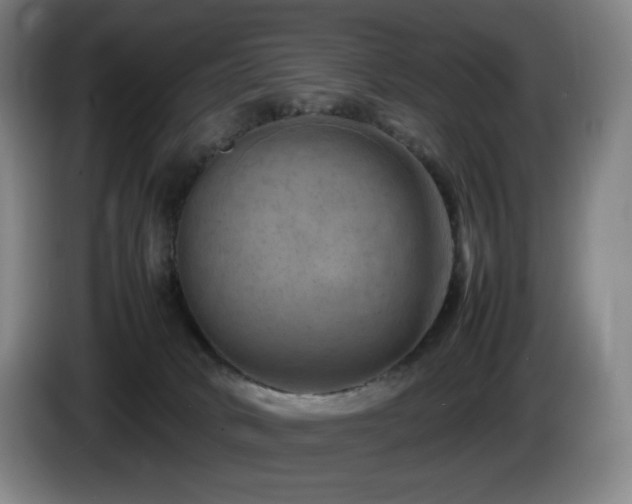 X0000085290034200703091419