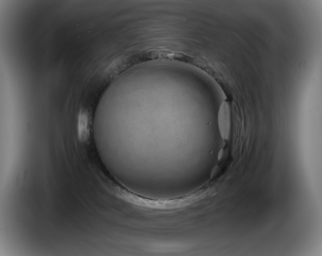 X0000085290038200703091419