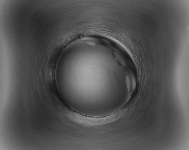 X0000085290039200703091419