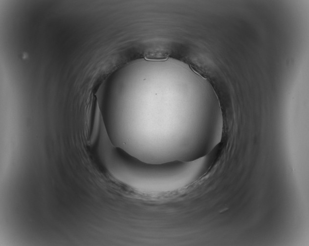 X0000085290041200703091419