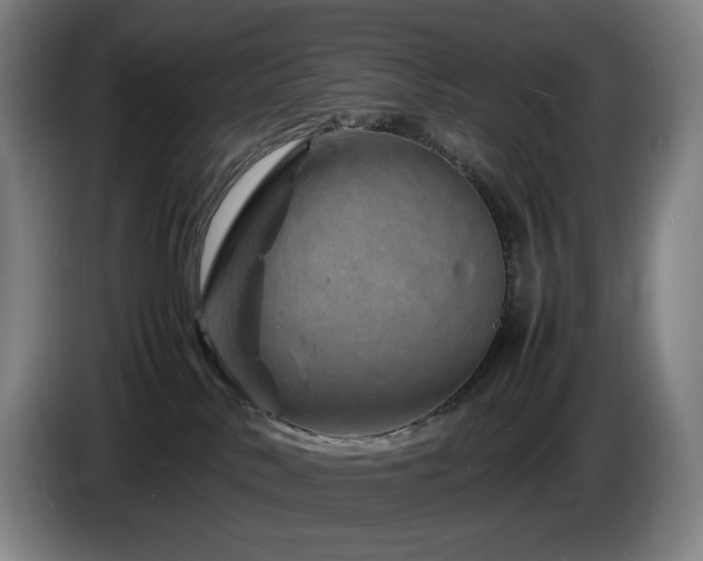 X0000085290042200703091419