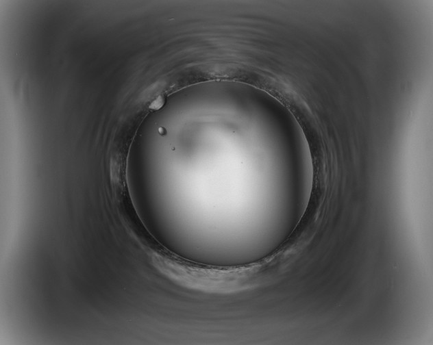 X0000085290044200703091419