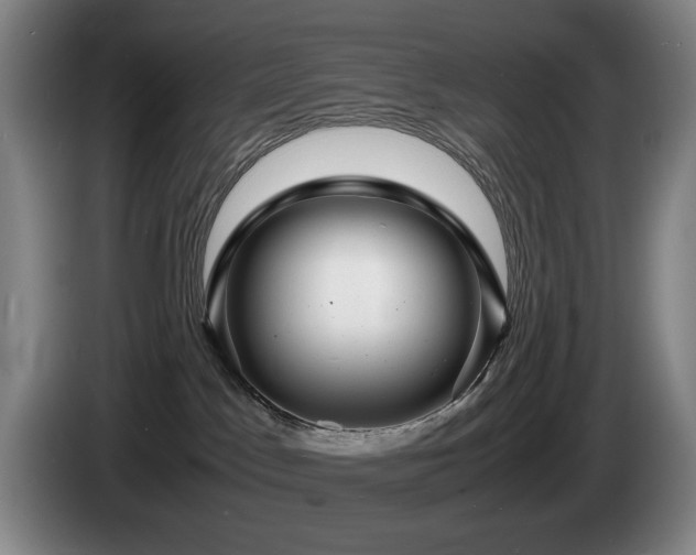 X0000085290045200703091419