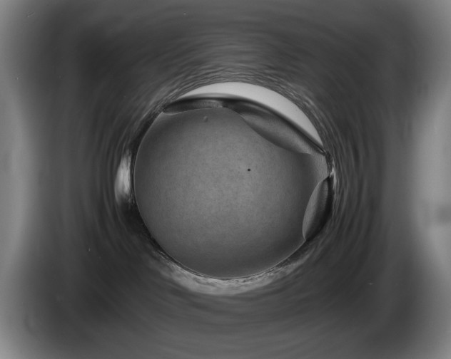 X0000085290046200703091419