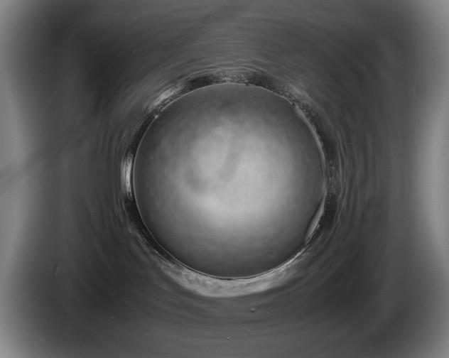 X0000085290047200703091419