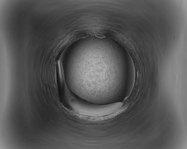 X0000085290048200703091419