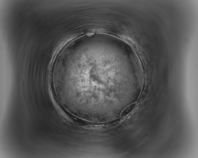 X0000085290049200703091418