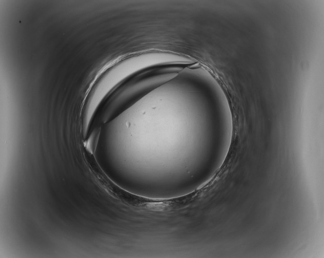 X0000085290050200703091418