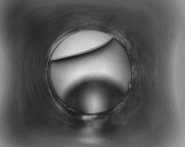 X0000085290051200703091418