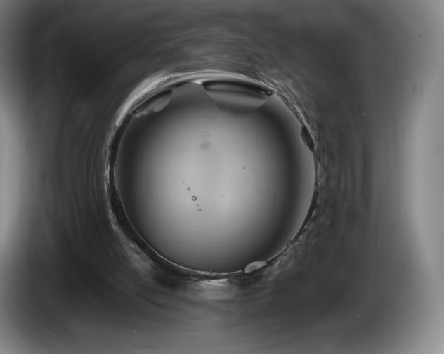 X0000085290054200703091418