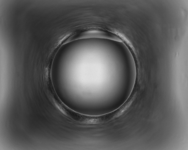 X0000085290057200703091418