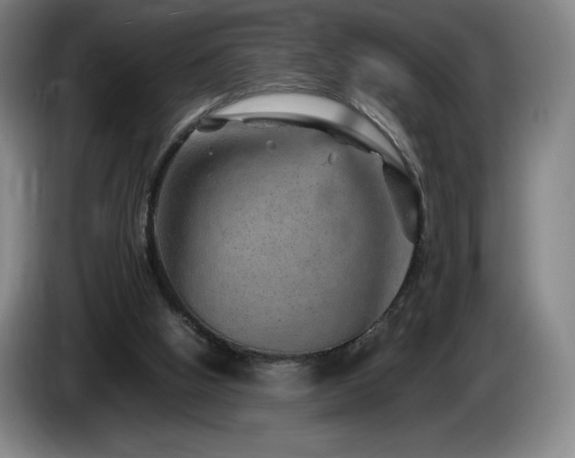 X0000085290058200703091418